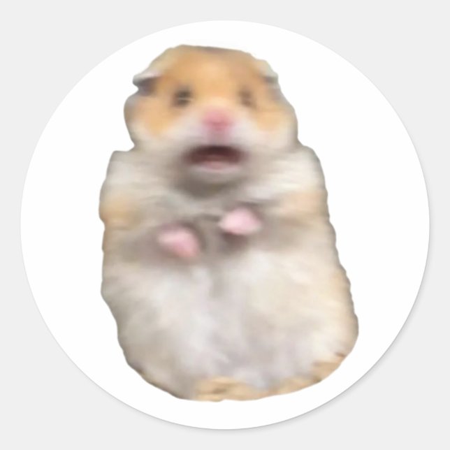lustige Meme-Katze Runder Aufkleber (Vorderseite)
