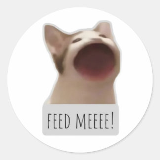 lustige Meme-Katze Runder Aufkleber