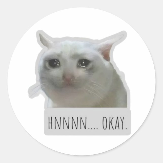lustige Meme-Katze Runder Aufkleber (Vorderseite)