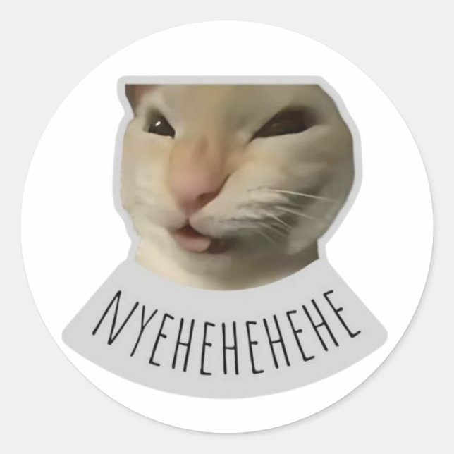 lustige Meme-Katze Runder Aufkleber (Vorderseite)