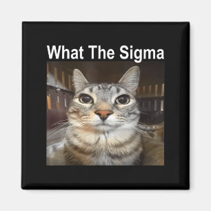 Lustige Meme-Katze What The Sigma Süße Katzen-Meme Magnet