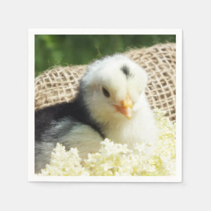 lustige niedliche Tiere Hühnerfarm iPad Pro Cover Serviette
