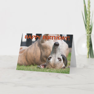 Lustige niedliche Windhundgrußkarte Karte