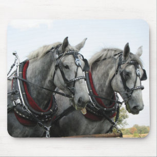 Lustige Pferde Mousepad