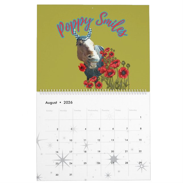 lustige Pferdeabbildungen aus meinem Geschichtenka Kalender (Aug 2026)