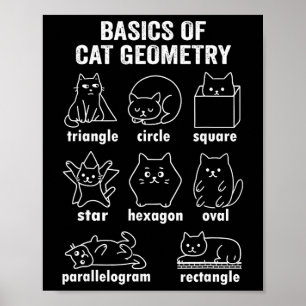 Lustige Physik der Katze-Geometrie Zurück zur Schu Poster