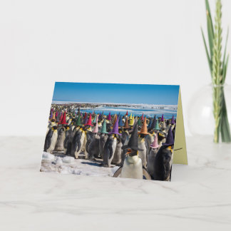 Lustige Pinguin-Hexe Halloween-Karte Feiertagskarte