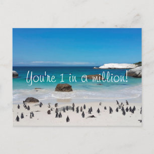 Lustige Pinguine Danke Postkarte