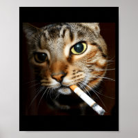 Lustige rauchende Katzen-Meme Dark Humor Sarkastis