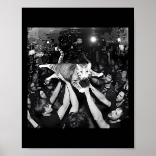 Lustige Rockshow Katze Meme Süße Tabby Katze Menge Poster