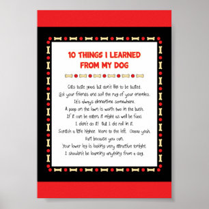 Lustige Sachen I gelernt von meinem Hund Poster