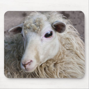 Lustige Schafe Mousepad