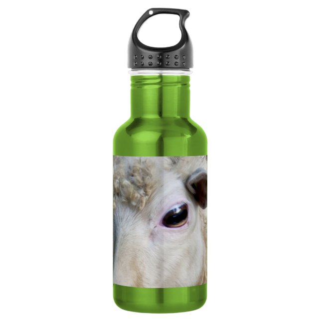 Lustige Schafe Trinkflasche (Vorderseite)