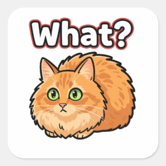 Lustige schockierte rote Katze Was? Meme-Aufkleber Quadratischer Aufkleber