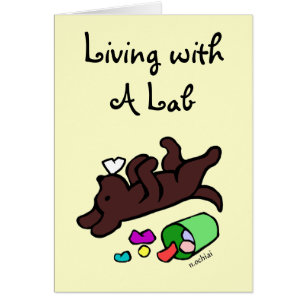 Lustige Schokoladen-Labrador-Cartoon-Illustration