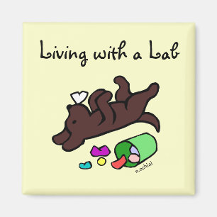 Lustige Schokoladen-Labrador-Cartoon-Illustration Magnet