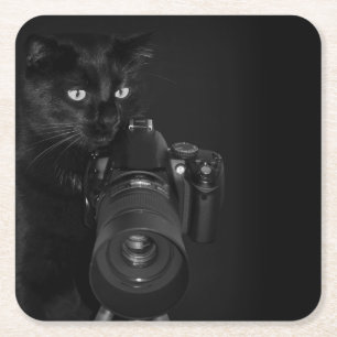Lustige schwarze Katze mit der Kamera Rechteckiger Pappuntersetzer
