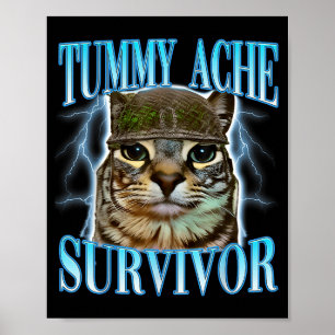 Lustige Sprüche Katzen Bauchweh Überlebender Katze Poster