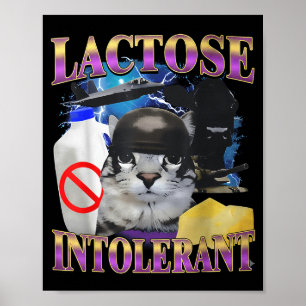 Lustige Sprüche Laktoseintolerante alberne Katzen- Poster