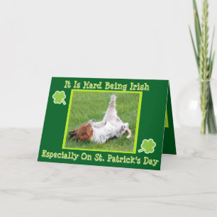 Lustige St. Patrick's Day Karte mit Basset und grü