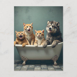 Lustige Tiere in der Badewanne Postkarte
