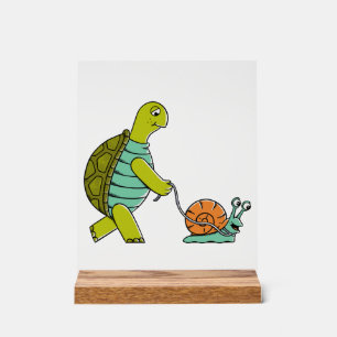 Lustige Tiere Schildkröte Und Schnecke Acrylschild