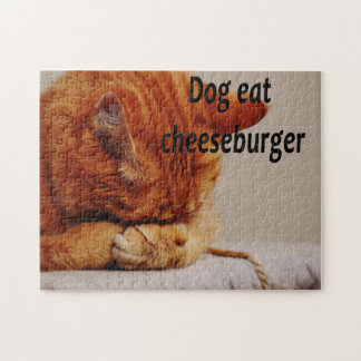 Lustige TierMemes Katze Memes humorvolle Fotos