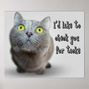 Lustige TierMemes Katze Memes humorvolle Fotos Poster