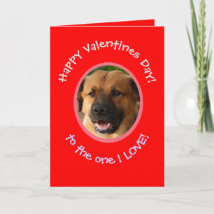 Lustige Valentinskarte von Hund an Besitzer Karte