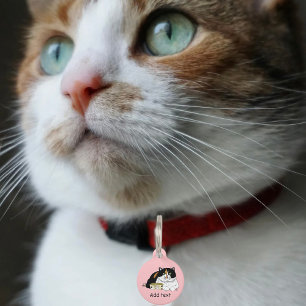 Lustige Verwöhnte Dreifarbige Füttere Katze Rosa Haustiermarke