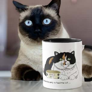 Lustige Verwöhnte Dreifarbige Füttere Katze Rosa Tasse