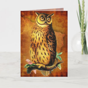 Lustige Vintage-Eule-Birthday-Karte Karte