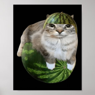 Lustige Wassermelonen-Katzen-Meme Poster