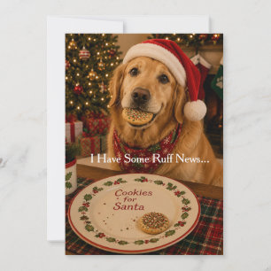 Lustige Weihnachtskarte für Hunde   Kekse für den  Feiertagskarte