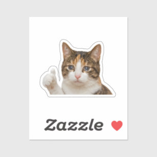 Lustige weinende Katze Daumen hoch Meme-Grafik Aufkleber