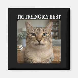 Lustige weinende Katzen-Meme für Männer Frauen Kin Magnet