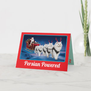 Lustige weiße Perserkatze Weihnachten Urlaub Karte