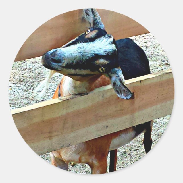 Lustige Ziege - Blatt der Aufkleber (Vorderseite)