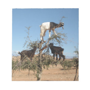Lustige Ziegen in einem Baum Notizblock