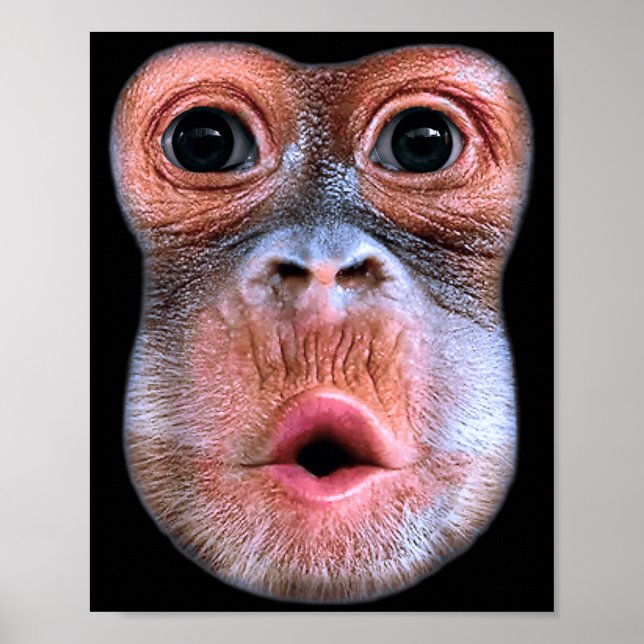 Lustiger Affe bläst Bauch Gesicht, Affe bläst Mage Poster (Vorne)