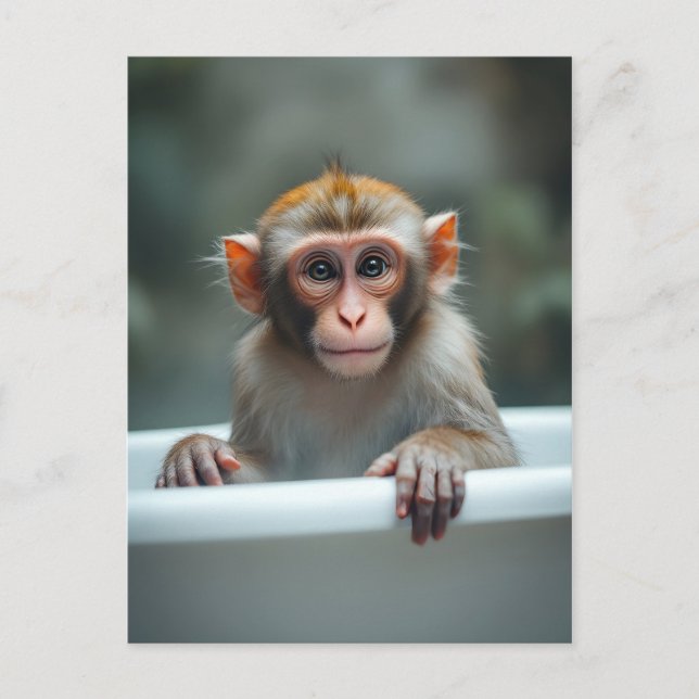 Lustiger Affe im Badezimmer Postkarte (Vorderseite)