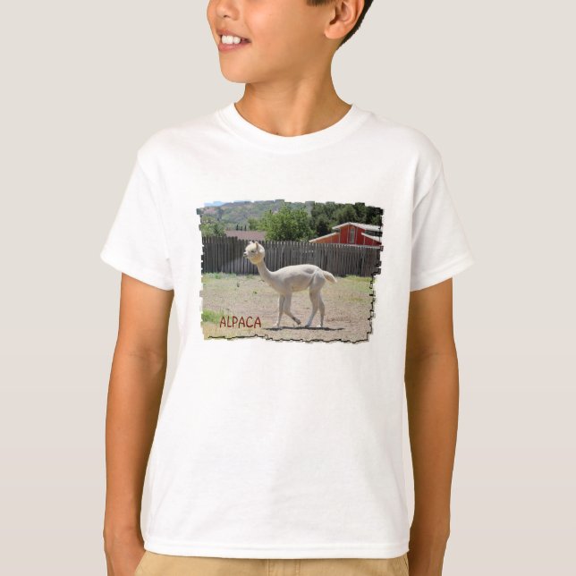 Lustiger Alpaka-T - Shirt (Vorderseite)