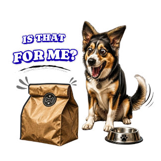 Lustiger aufgeregter Hund wartet auf Essen – Ist d Tri-Blend Shirt