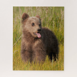 Lustiger Baby-Bär Getty Bild-