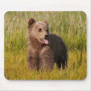 Lustiger Baby-Bär Getty Bild- Mousepad