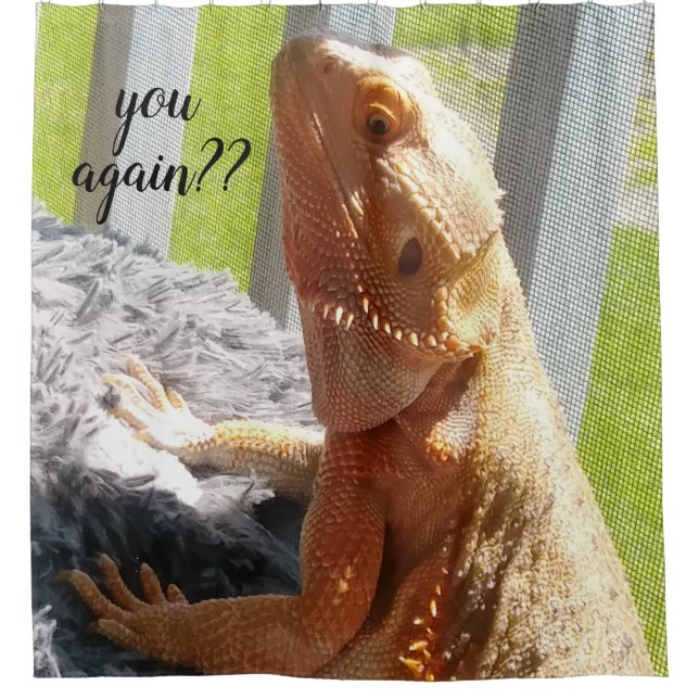 Lustiger bärtiger Drache-Foto-Druck Duschvorhang (Vorderseite)