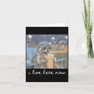 Lustiger Baseballplatz Waschbär Eis Kaffee Live Karte