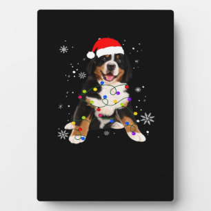 Lustiger Berner Sennenhund leuchtet Weihnachten Ma Fotoplatte