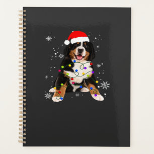 Lustiger Berner Sennenhund zündet Weihnachts-Match Planer