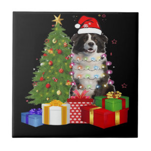 Lustiger Border Collie Weihnachtsbaum Frohe Weihna Fliese